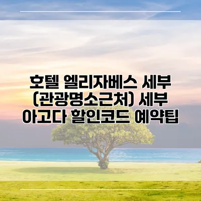 호텔 엘리자베스 세부 (관광명소근처) 세부 아고다 할인코드 예약팁