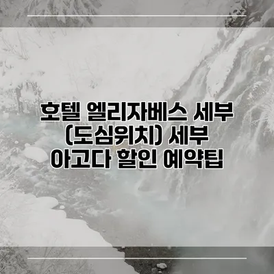 호텔 엘리자베스 세부 (도심위치) 세부 아고다 할인 예약팁