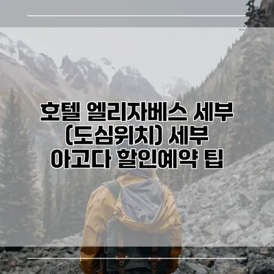 호텔 엘리자베스 세부 (도심위치) 세부 아고다 할인예약 팁