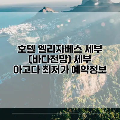 호텔 엘리자베스 세부 (바다전망) 세부 아고다 최저가 예약정보