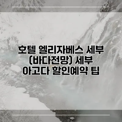 호텔 엘리자베스 세부 (바다전망) 세부 아고다 할인예약 팁