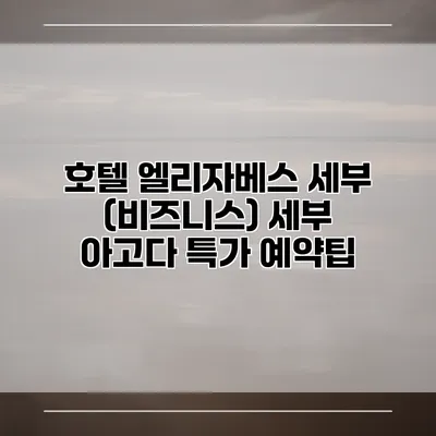 호텔 엘리자베스 세부 (비즈니스) 세부 아고다 특가 예약팁