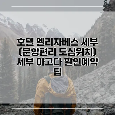 호텔 엘리자베스 세부 (운항편리 도심위치) 세부 아고다 할인예약 팁